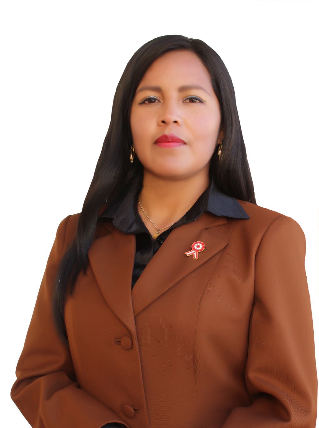 Lic. CAROL E.TRISTAN MOLLOCONDO